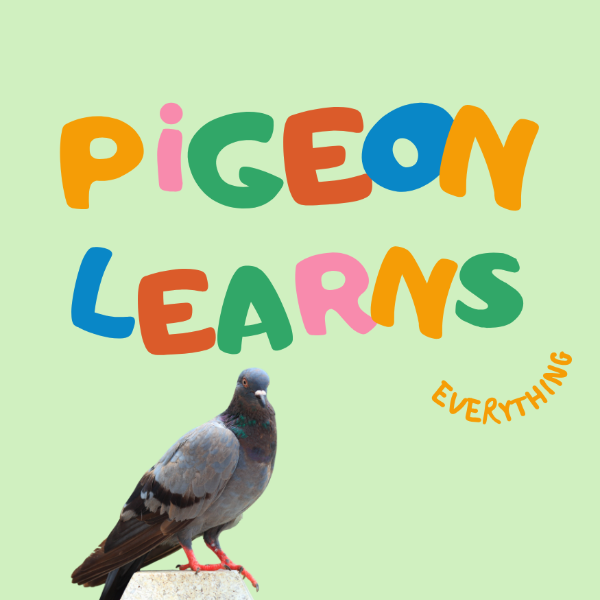Pigeon Learns